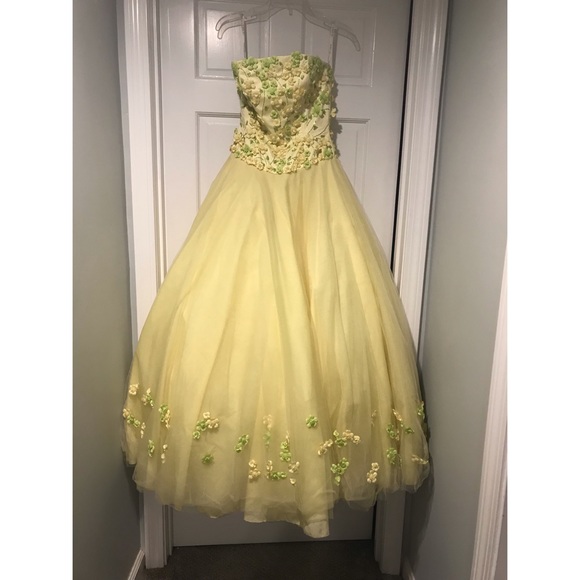 Dresses & Skirts - Prom dress only worn twice with tags still!!